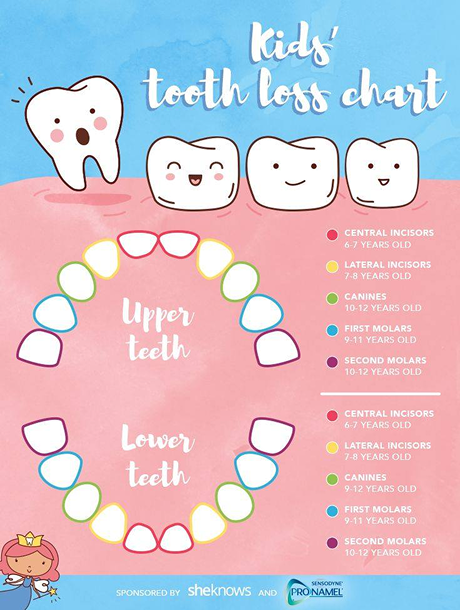 Hawthorn East Dental Gallery Image 4