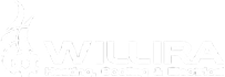 willira-1